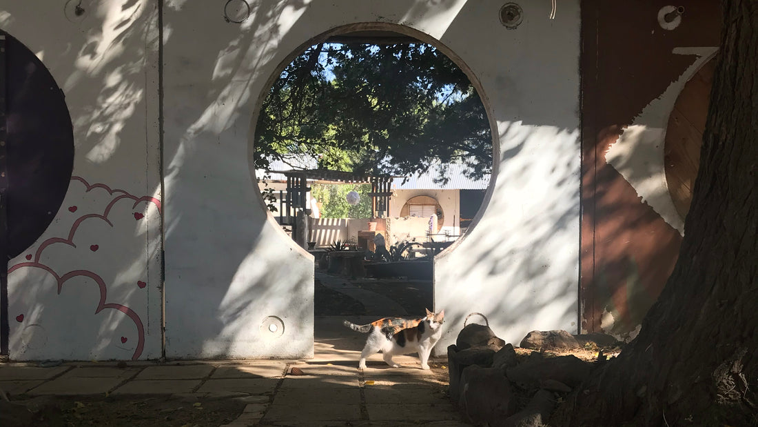 Life At Arcosanti